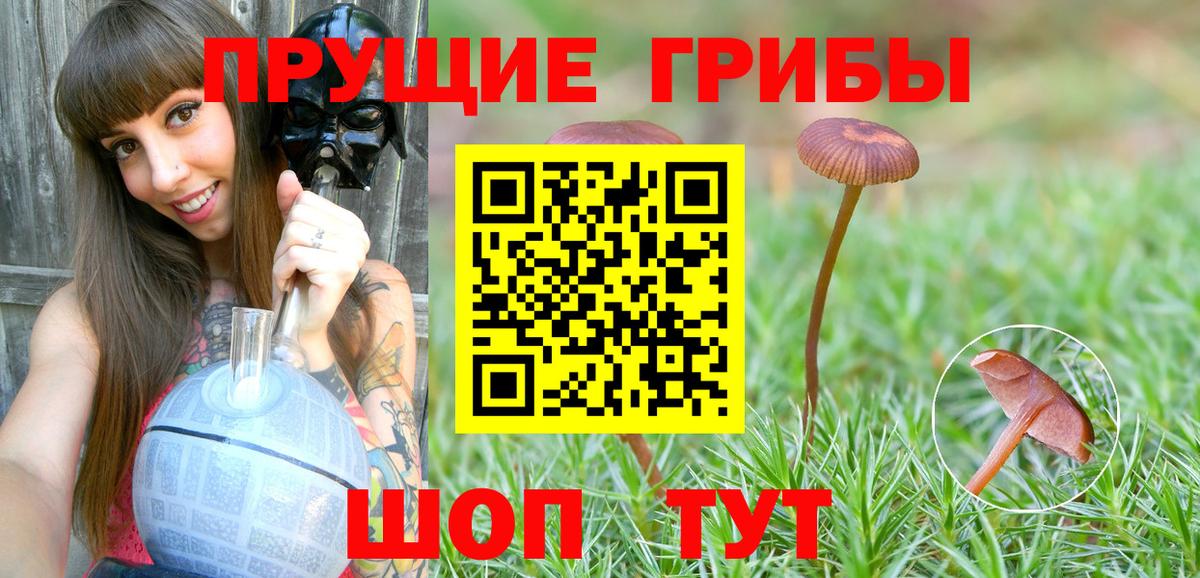 Псилоцибиновые грибы мухоморы  Вход с VPN  Кинель  Галлюциногенные грибы Magic Shrooms 