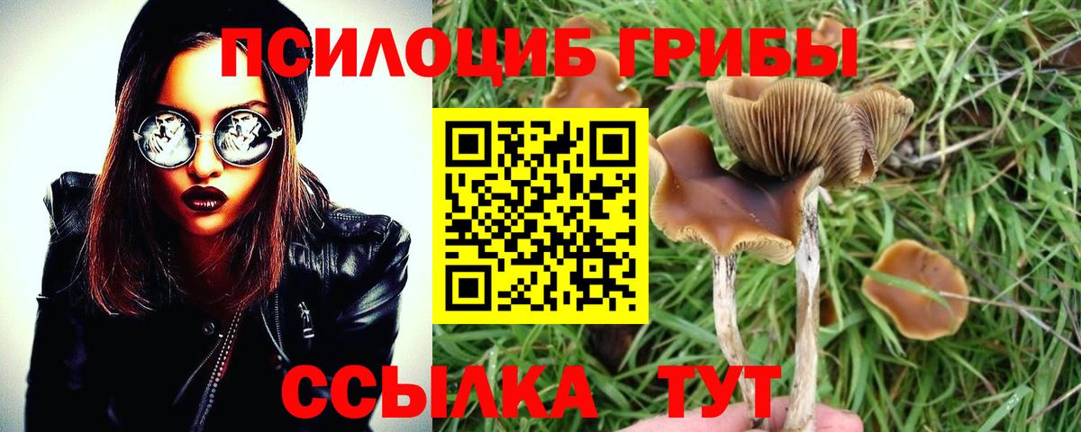 Галлюциногенные грибы мухоморы Кинель